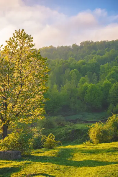 Górskie Krajobrazy Wiejskie Wiosną Drzewa Pastwiska Wzgórzu Odległą Dolinę Pełną — Zdjęcie stockowe