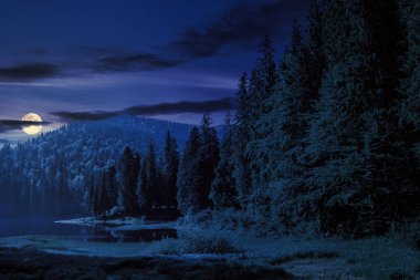Geceleri dağlarda çam ormanlarıyla çevrili bir göl. Dolunay ışığında güzel bir kır manzarası
