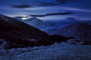 Geceleri sonbahar manzarası. Dağlardaki orman dolunay ışığında kırmızı ve sarı yapraklarla kaplı.