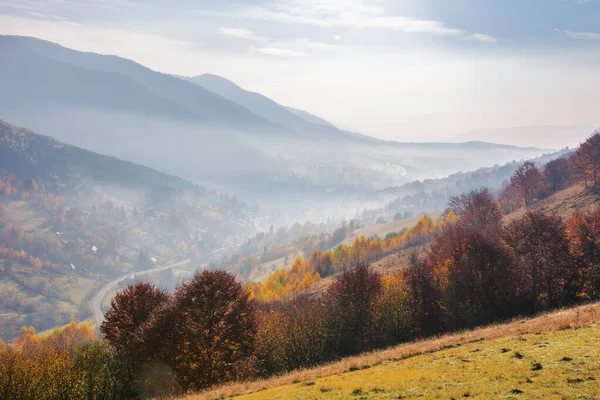 Mlhavý Podzimní Východ Slunce Horách Scenérie Barevnými Stromy Travnatých Kopcích Royalty Free Stock Fotografie