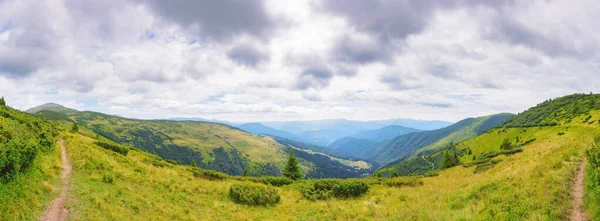 Turistika Ukrajinských Vysočinách Travnatými Alpskými Loukami Létě Panoramatický Výhled Vzdáleného Stock Fotografie