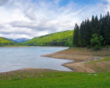 Karpatya dağlarında vilshany su deposu. Gölün kirli kıyıları. Ekoloji felaketi ve iklim değişikliği kavramı. Su kıtlığı