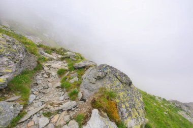 Sisli bir günde Romen doğa manzarası. Dik kayalık tepeleri olan dağlık bir manzara. İbnelerde yaz tatili