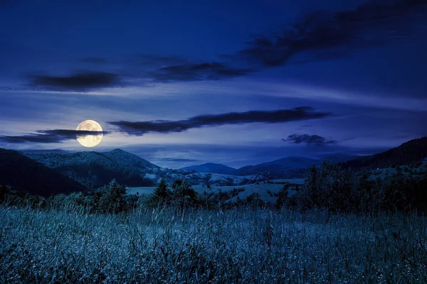 Альпийский Луг Высокой Травой Фоне Гор Ночью Красивые Пейзажи Полнолуние — стоковое фото