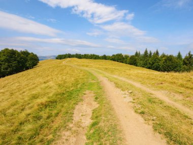 Kırsal yol orman tepelerindeki yeşil çayırlardan geçiyor. Yazın Karpatya kırsalında. Mavi gökyüzünün altında, kabarık bulutlu bir dağ sırası.