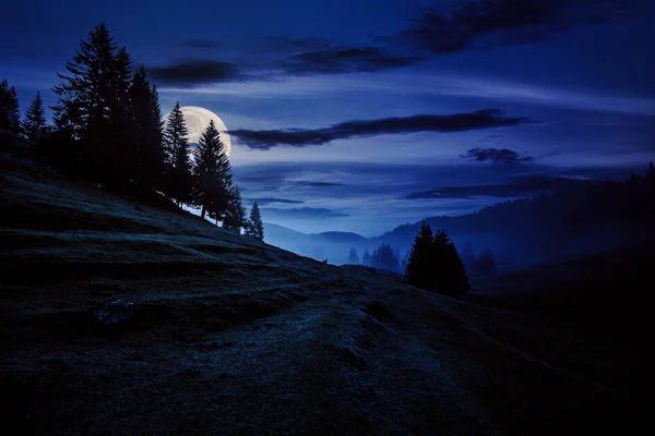 真っ青な空の下で 霧の中にある 丘の間の牧草地に 木々を焼きつける 満月の光で素晴らしい田園風景 — ストック写真