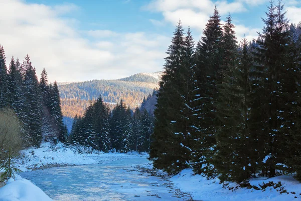 Landschaft Mit Nadelwald Ufer Eines Flusses Schöne Naturlandschaft Der Karpaten — Stockfoto