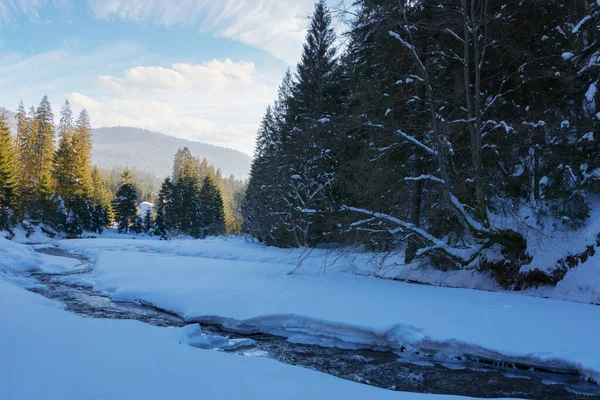 Kışın Dağ Nehri Güneşli Bir Günde Karpatların Dondurucu Doğası Karla — Stok fotoğraf