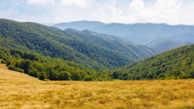 Orman tepeli çimenlik çayır. Sonbaharda güneşli bir günde güzel bir Karpatya dağ manzarası. Bulutlu bir gökyüzünün altındaki uzak sırt