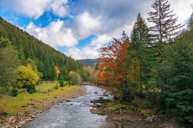 Nehir kırsal vadiden akar. Sonbaharda dağ manzarası