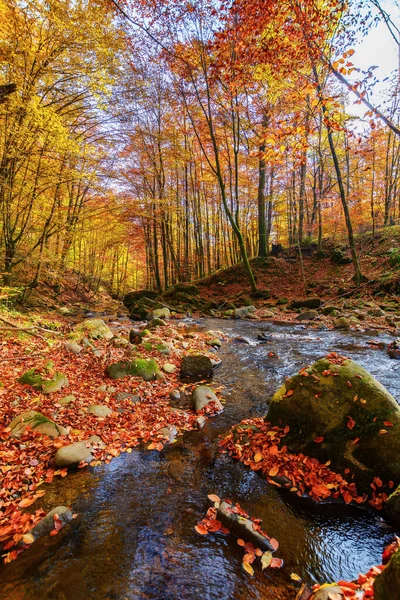 Water Stream Natural Park Wonderful Nature Scenery Fall Season Trees — Fotografia de Stock