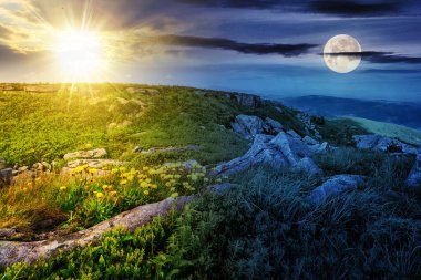 Sarı karahindiba otların arasında, yamaçtaki büyük taşların arasında. Yüksek dağlarda. Alacakaranlıkta güneş ve ay var. Gündüz ve gece zaman kavramını değiştirir. Gizemli kırsal manzara Sabah ışığında