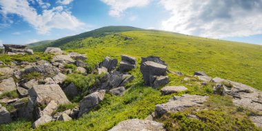 Çimenli dağlık çayırdaki taşlar ve kayalar. Güneşli bir günde yaz dağı manzarası. Uzaktaki dağa bak