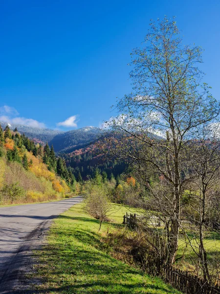 Asfaltová Cesta Karpatských Horách Výlet Ukrajinské Krajině Podzim Stromy Podzimním — Stock fotografie