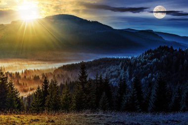 Ladin ormanlarında soğuk sis dağlarda güneş ve alacakaranlıkta ay. Gündüz ve gece zaman kavramını değiştirir. Gizemli kırsal manzara Sabah ışığında