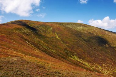 Dağlı doğa arka planı. Tepeleri ve çayırları olan renkli bir manzara. Sonbaharın başlarında güneşli bir gün. ukraine