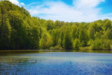 Dağ göletli manzara. Orman su yüzeyine yansıyor. Sıcak nisan havası