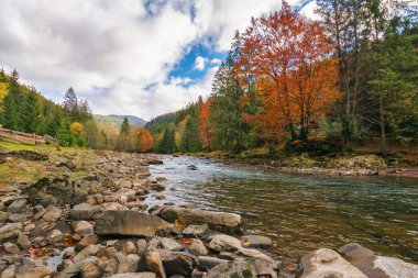 Kayalık kıyıları ve ağaçları olan bir nehir. Dağlık kırsal alandaki güzel doğa manzarası. Sonbahar mevsiminde renkli manzara