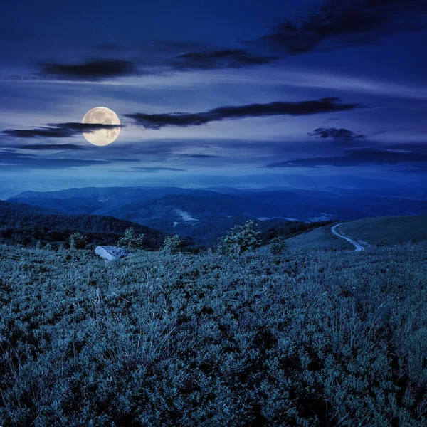 Извилистая Проселочная Дорога Склоне Холма Рядом Лесом Ночью Прекрасный Пейзаж — стоковое фото