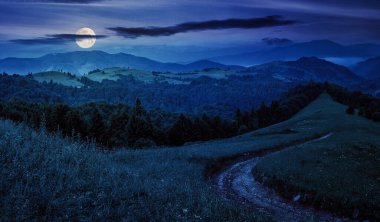 Gece yüksek dağ sırasındaki çayırların arasından kozalaklı ormana giden boş kırsal yol manzarası. Dolunay ışığında harika bir kır manzarası