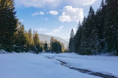 Uzakta nehir ve dağ olan kış manzarası. Karpatya kırsal kesiminde güneşli bir günde karla kaplı kardaki ladin ormanı