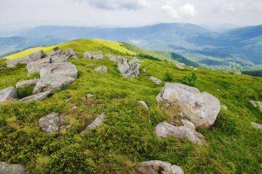 Yamaçtaki çimlerin arasında taşlarla dolu çayır. Yazın dağlık kırsal alan. uzak kırsal vadiye bakın. Ukraynalı Karpatların güzelliği