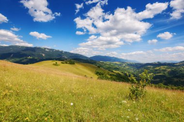 Çimenli tepeleri olan dağ manzarası ve ormanlık yamaçlar uzak kırsal vadiye iniyor ve güneşli bir günde bulutlarla mavi bir gökyüzünün altında süzülüyor.