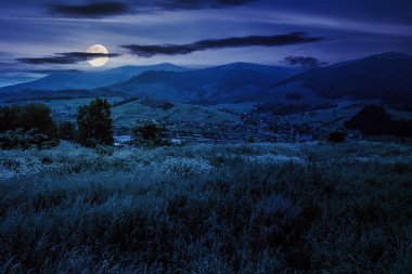 Geceleri Karpatlar 'ın yaz manzarası. Vadideki köy. Tepedeki orman. Dolunay ışığında harika bir kır manzarası