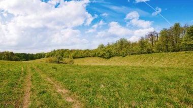 Orman tepeleri olan Carpathian kırsalında. Güneşli bir günde ilkel kayın ormanlarıyla çevrili geniş çimenli bir açıklık. Hafta sonu turizm merkezi. Antalovecka poljana, Ukrayna
