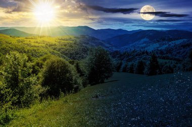 Yaz mevsiminde dağ manzarası, alacakaranlıkta güneş ve ay. Yamaçtaki çayırın yakınındaki köknar ağaçları. Gündüz ve gece zaman kavramını değiştirir. Sihirli kır manzarası Sabah ışığında