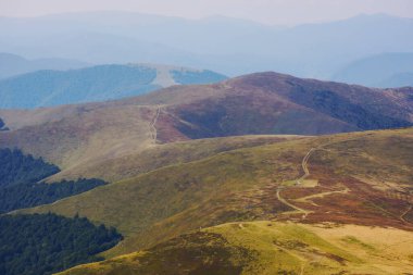 Yuvarlanan dağlarla birlikte doğa. Tepeleri ve çayırları olan renkli bir manzara. Yazın sonlarında güneşli bir gün. ukraine