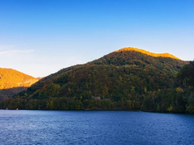 Sonbaharda göl manzarası. Rengarenk yaprakları olan ağaçların doğası. Sıcak güneşli hava