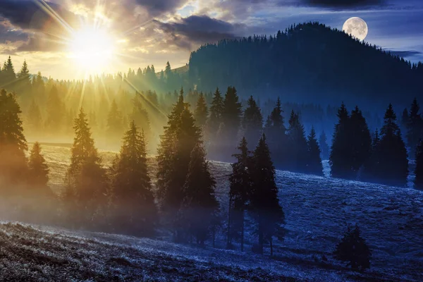 黄昏时分 罗马尼亚高山上的针叶林中笼罩着寒冷的雾气 有日月 昼夜变化的概念 晨光中神秘的自然景观 — 图库照片
