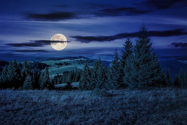Осенний Пейзаж Горах Румынии Ночью Хвойные Леса Склонах Холмов Прекрасный — стоковое фото