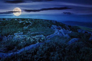 Gece yamacın yamacındaki dev kayaların arasında karahindibalar. Dolunay ışığında harika bir doğa manzarası