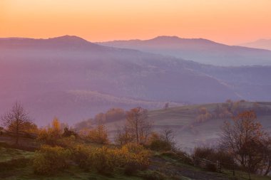 Sonbaharda Carpathian kırsal arazisi. Güneşin doğuşunda sisli bir sabah. Ağaçlar sonbahar yaprakları tepelerde