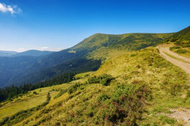 Yazın yeşil dağ sırtı. Dik orman yamaçları ve çimenli yamaçlar. Köy yolu yokuş yukarı. Parlak güneşli hava