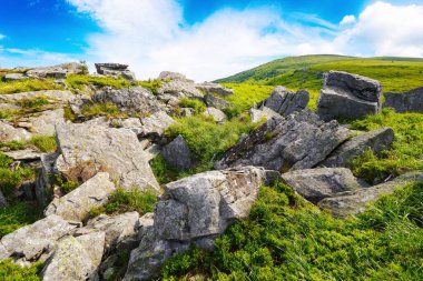 Alp tepeleri ve Ukrayna Karpatları 'nın çayırı manzaralı. Tepede kocaman taşlar olan dağlık bir manzara. Yaz mevsiminde güneşli hava