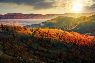 Gün batımında Karpatlar 'ın dağlık bölgesinde soğuk bir sis var. Yamaçta renkli yapraklar içinde çimenli çayırlar ve ağaçlar olan kırsal alan. Güzel kırsal manzara Akşam ışığında