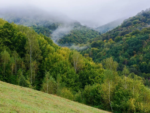 Горный Карпатский Пейзаж Осенью Лиственный Лес Зеленой Листвой Холмах Тумане — стоковое фото