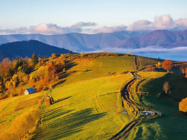 carpathian countryside at sunrise in autumn. rural fields and forested hill in morning light. distant ridge beneath s sky with clouds. wooden fence along the path uphill. view from above