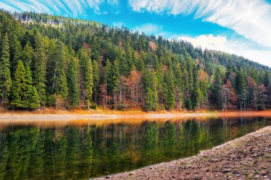 Bir gölün su yüzeyinde ladin ormanının yansıması. Sonbaharda dağ manzarası