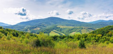 Çimenli çayır manzarası. Bulutlu bir gökyüzünün altındaki uzak dağ. Karpatya kırsalının güzel panoramik manzarası Sonbaharın başlarında güneşli bir günde