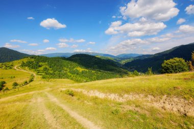 Tepelerin ve çayırların arasındaki yol. Transcarpathia 'nın dağlık kırsalını keşfetmek. Ukrayna 'da yaz tatili