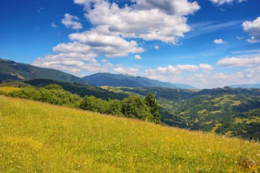 Dağlarda çayır olan kırsal bir manzara. Yazın boş otlaklar. Güneşli bir günde yeşil saman tarlası manzarası. Uzaktaki tepenin üstündeki mavi gökyüzünde kabarık bulutlar