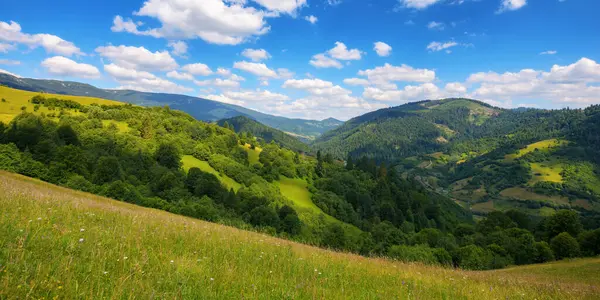 Krajobraz Wiejski Łąką Górach Puste Pastwiska Trawiaste Wzgórzu Lecie Zielony — Zdjęcie stockowe