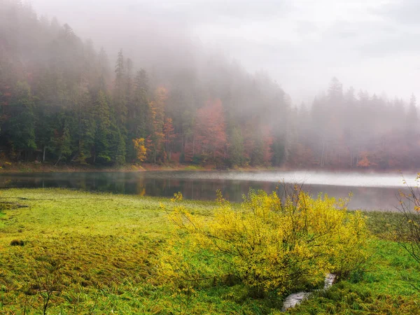 Lake Foggy Morning Fall Season Forest Shore Fog Mysterious Outdoor — Stock Photo, Image