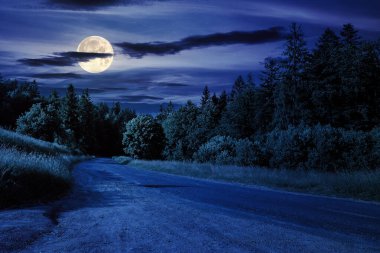 Geceleri gölgeli kozalaklı ormanda asfalt yol kıvrımlı. Dolunay ışığında güzel bir kır manzarası