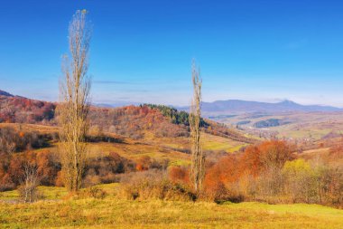 Sonbahar mevsiminde dağlık kırlarda. boş otlaklar ve tepede renkli ağaçlar güneşli bir sonbahar gününde