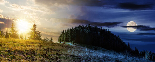 панорама елового леса на склоне холма с солнцем и луной в сумерках. концепция смены времени дня и ночи. загадочные пейзажи в утреннем свете